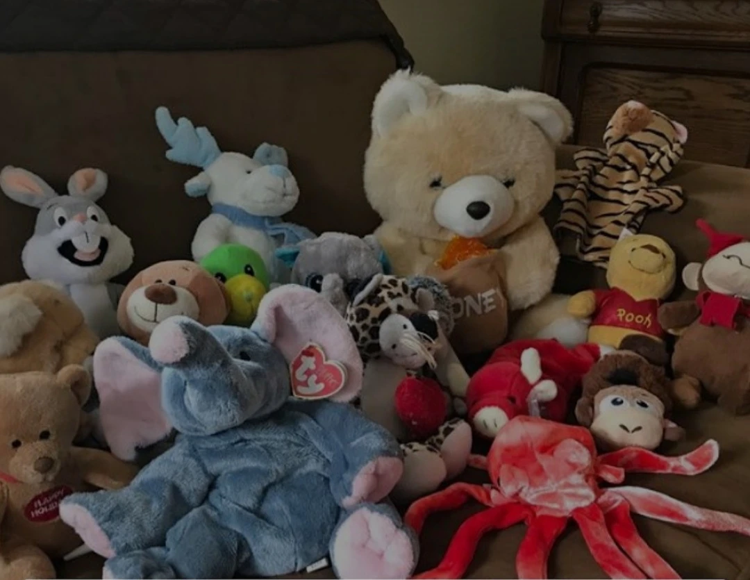 Assorted Plush Toys Bundle - photo 3