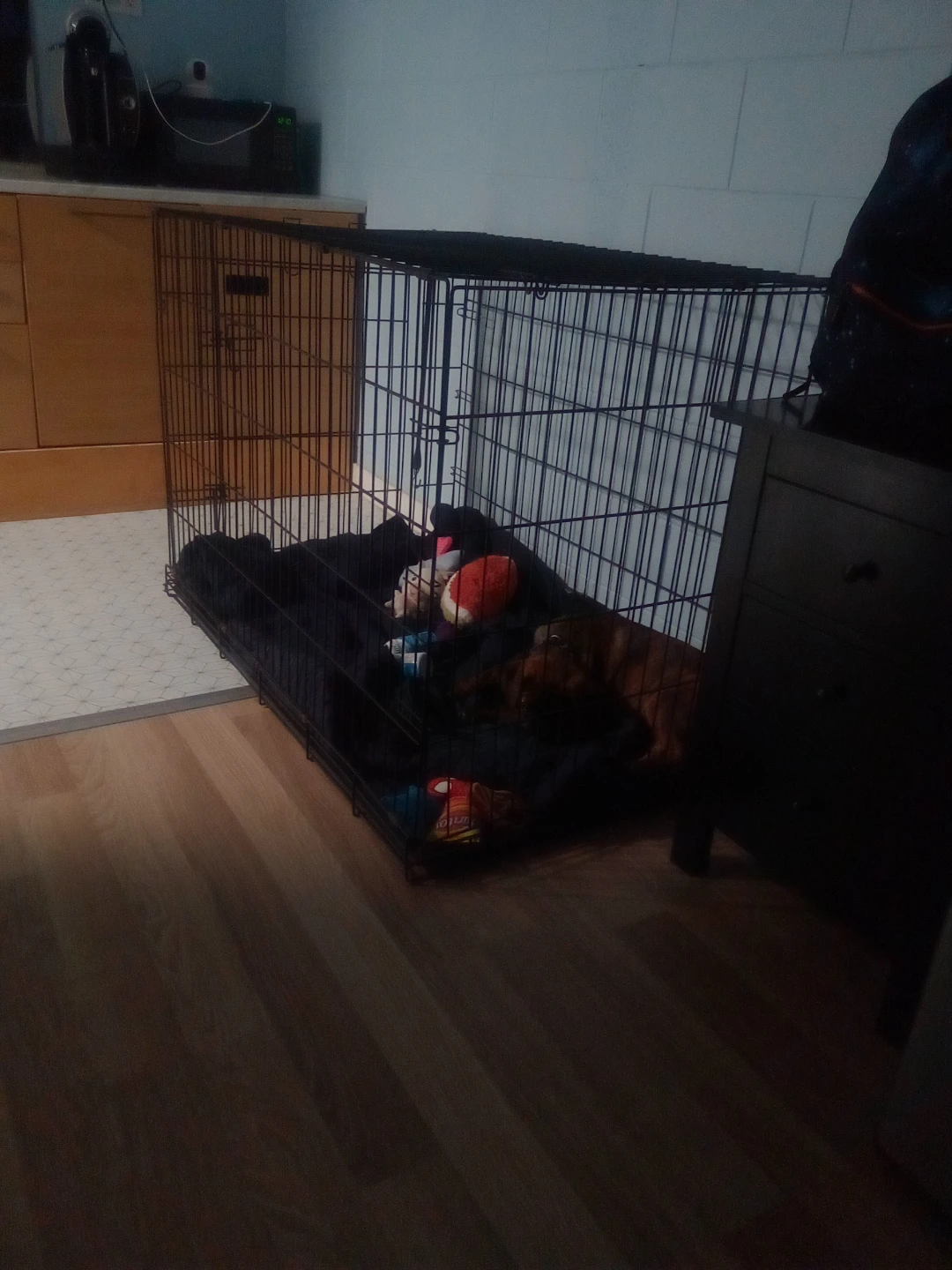 Large  to extra large dog crate  made with medal