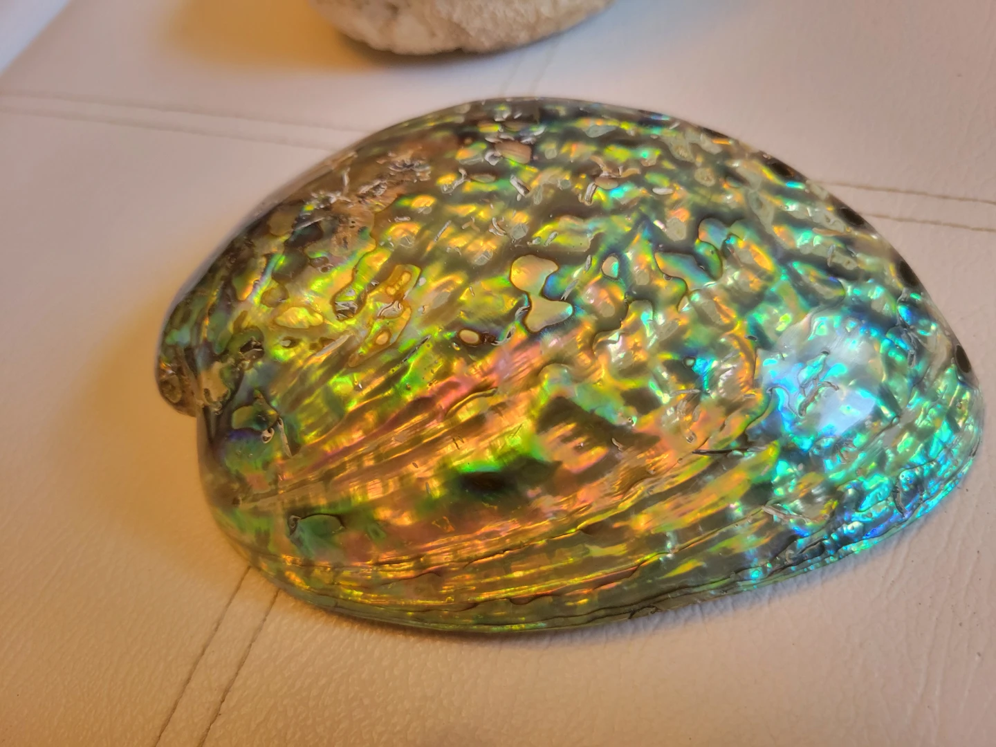 BEINUANCRYSTAL Wholesale Abalone Shell Decoration - photo 2