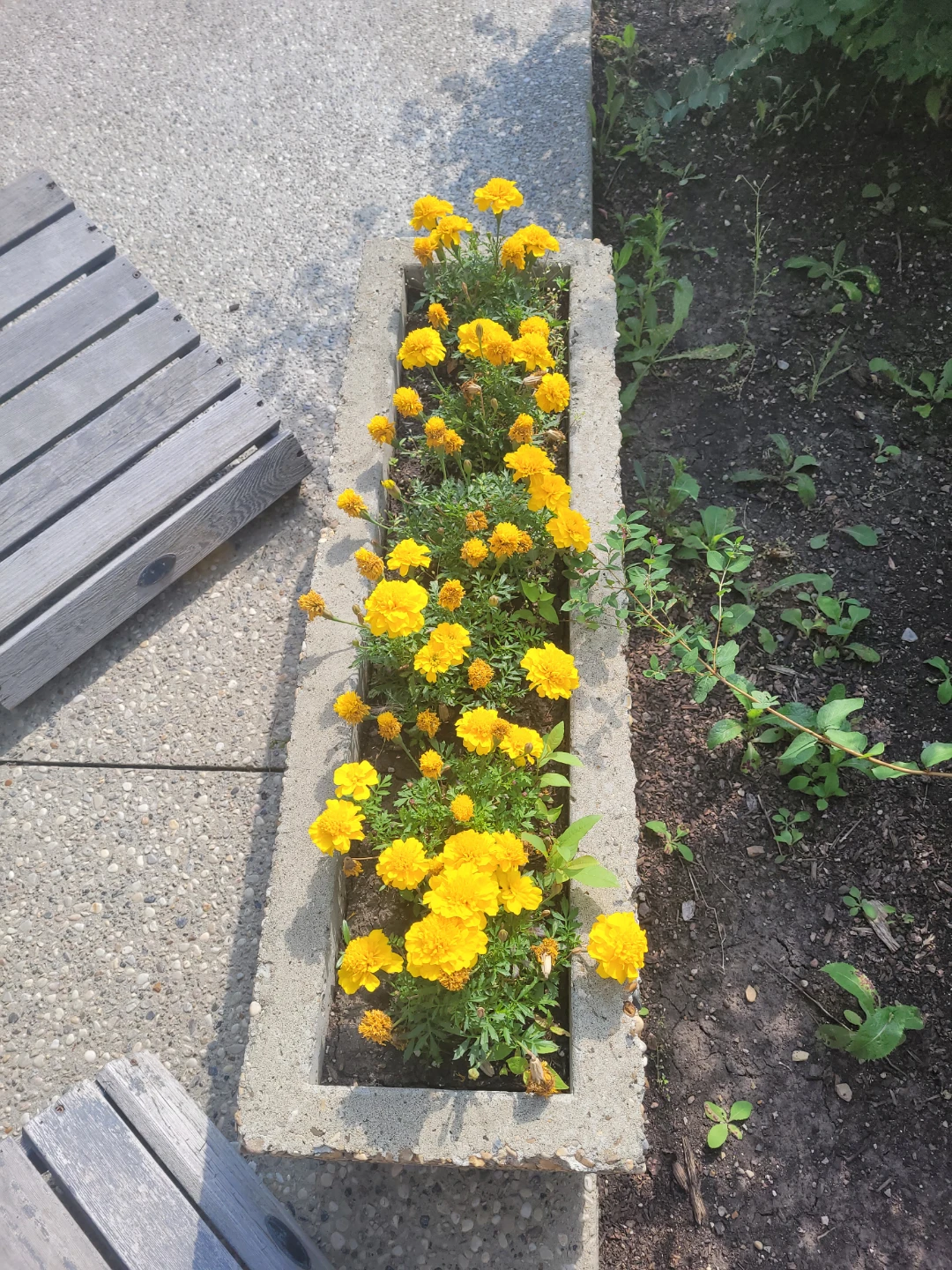 Concrete Rectangular Planter - photo 2