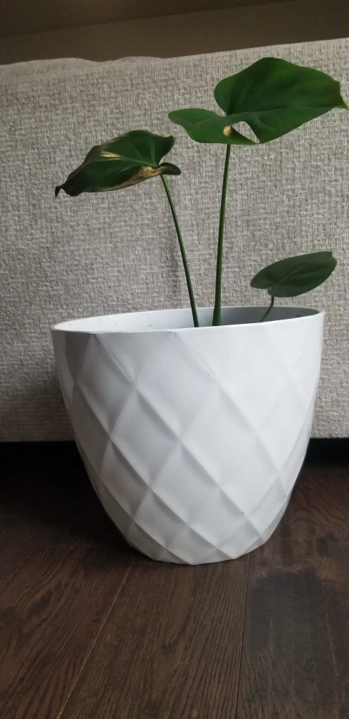White Diamond Pattern Planter Pot - photo 2