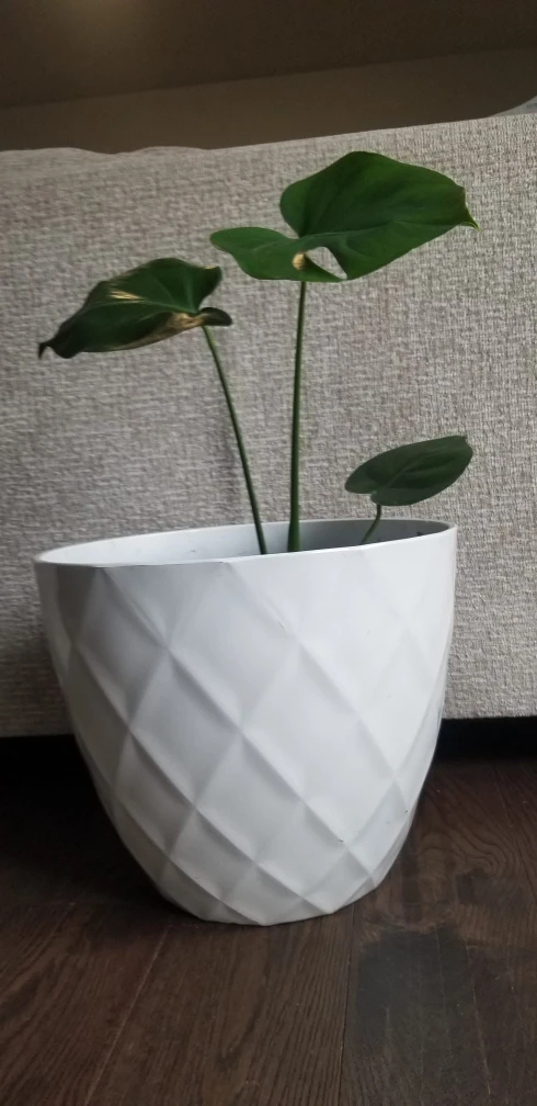 White Diamond Pattern Planter Pot - photo 3