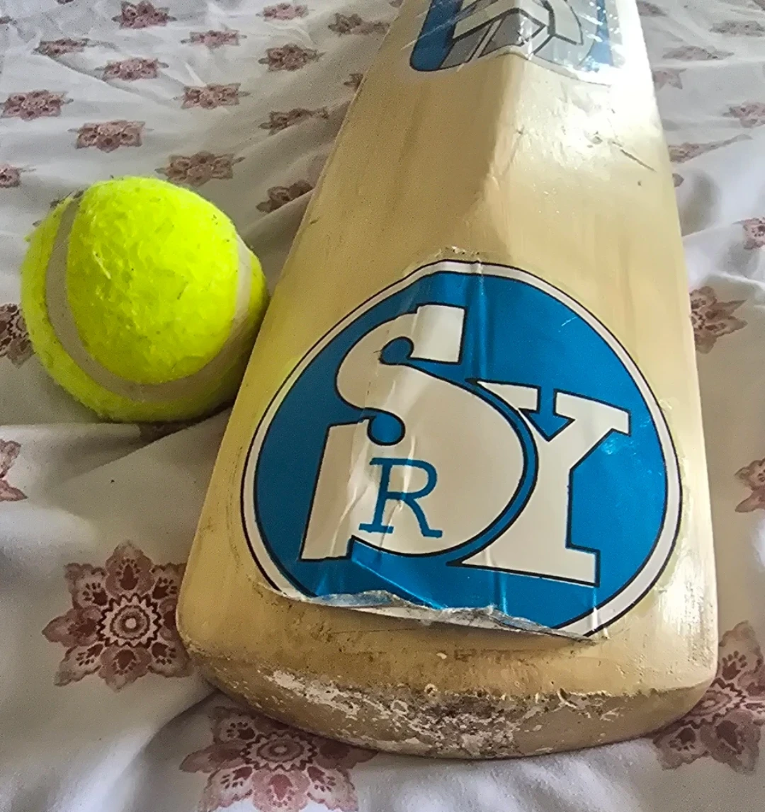 SR SRISHTI Richa Cricket Bat and ball - photo 4