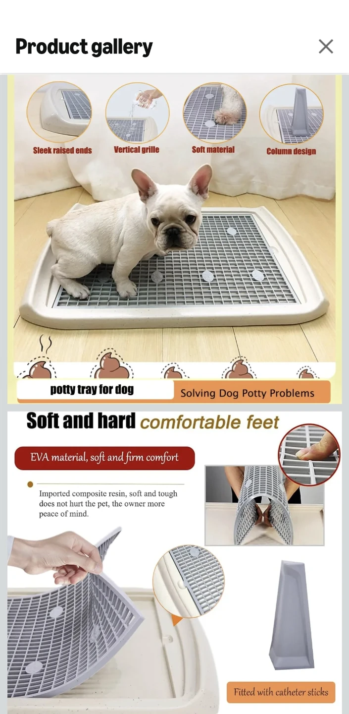 Indoor Dog Potty Training Tray - Medium