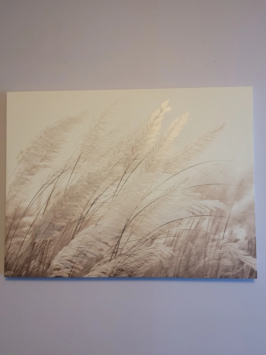Canvas Wall Art Print - Pampas Grass