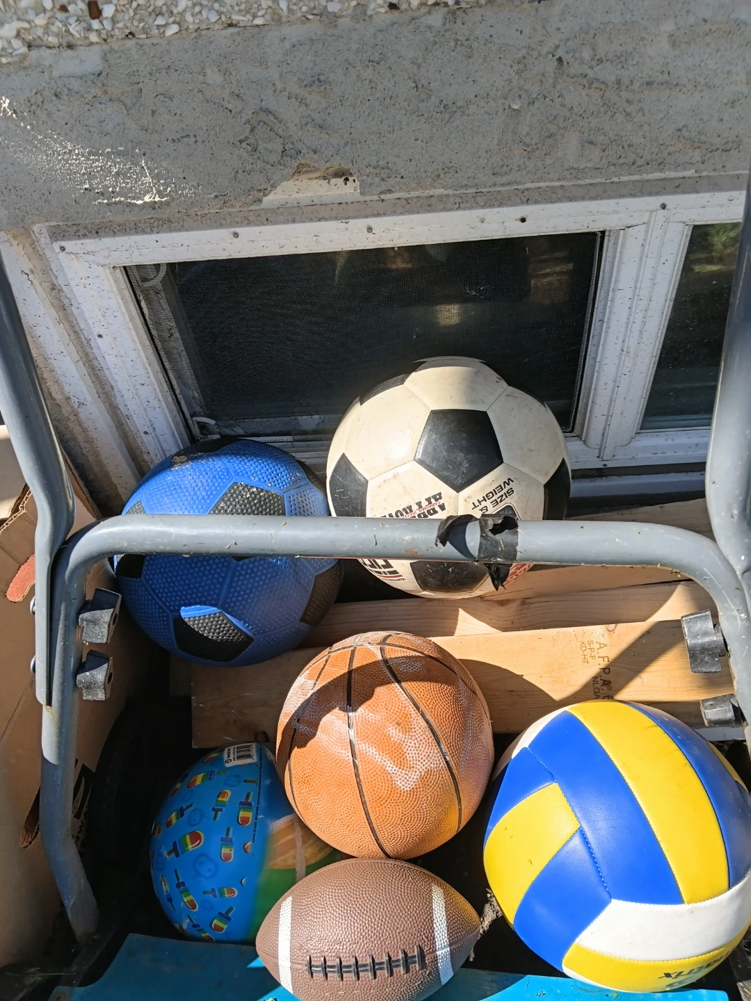 Assorted Sports Balls Bundle - photo 2