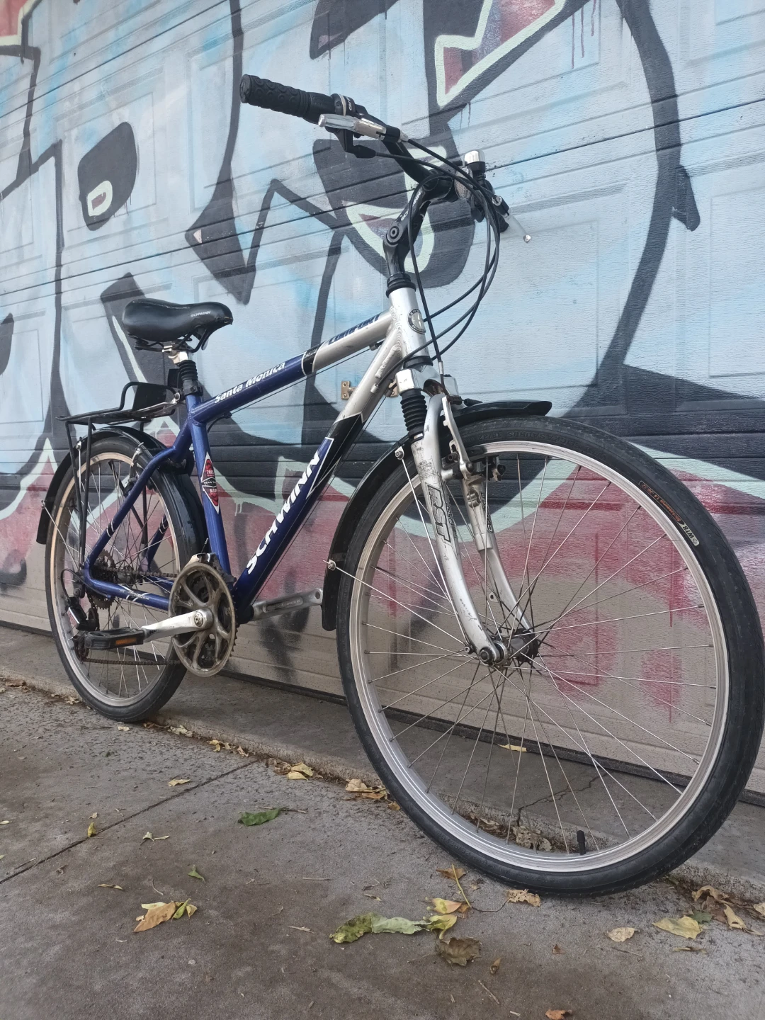 Schwinn Bike