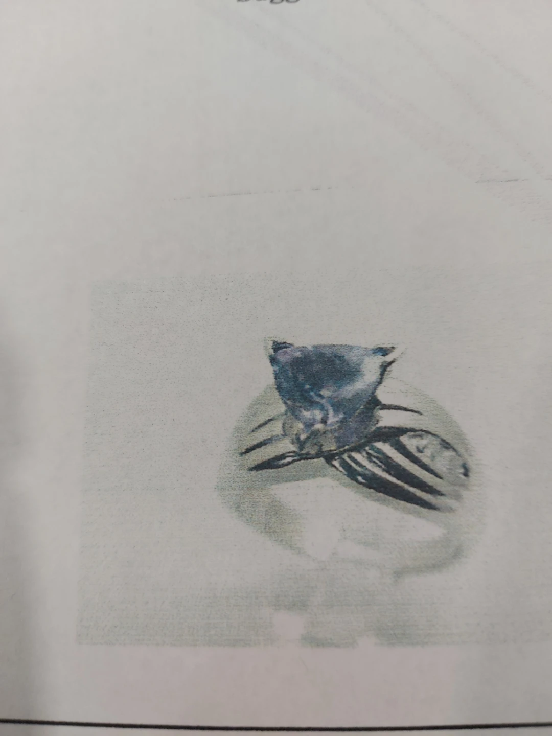 14K White Gold Tanzanite and Diamond Ring - photo 5