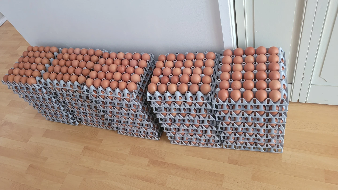 Farm Fresh Brown Eggs