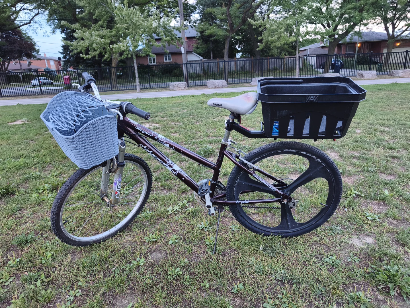 2 Bikes — Adult Mountain + Kids Bike — $160 — Ready to Ride 🚲 - photo 4
