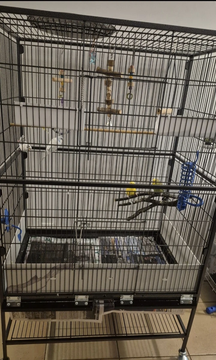 Large Bird Cage with Perches and Toys - photo 3