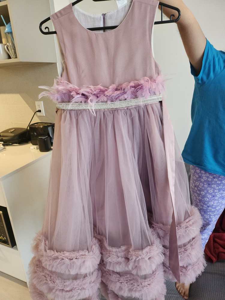 Girls Fancy Party Dress - photo 3
