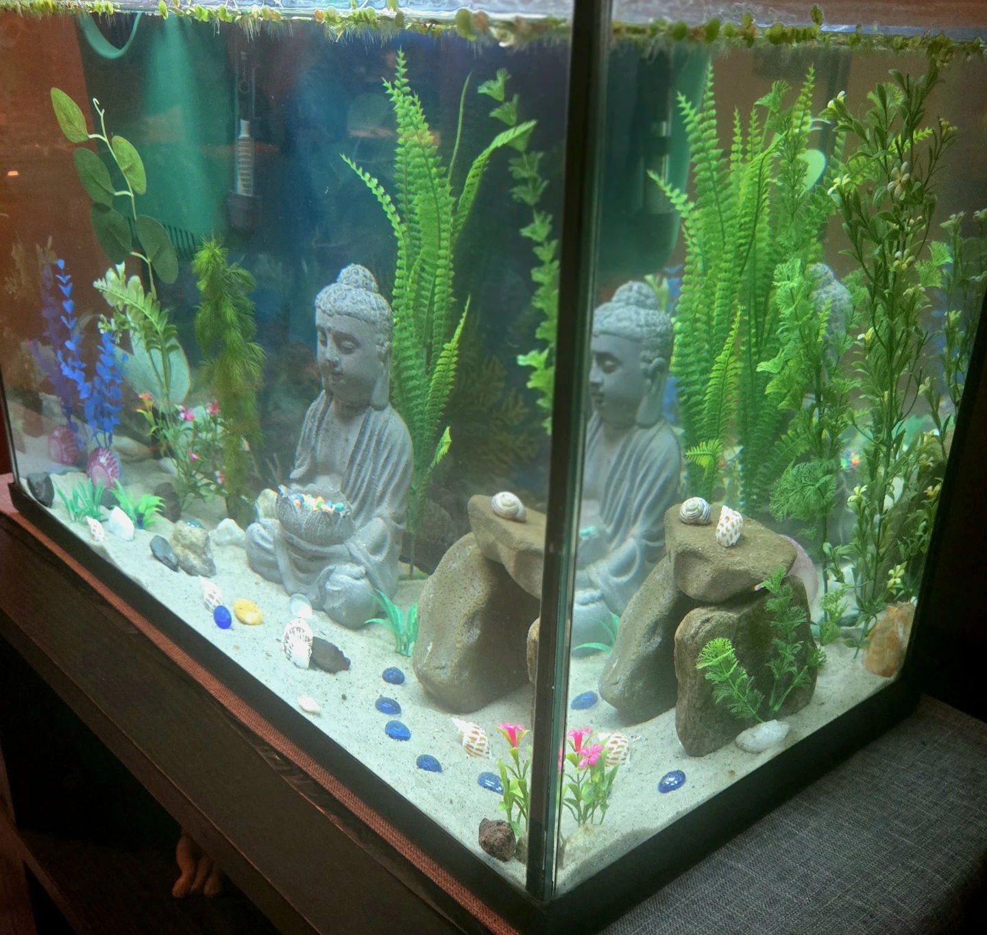 Aquarium 20 Gal EVERYTHING INCLUDED - photo 3