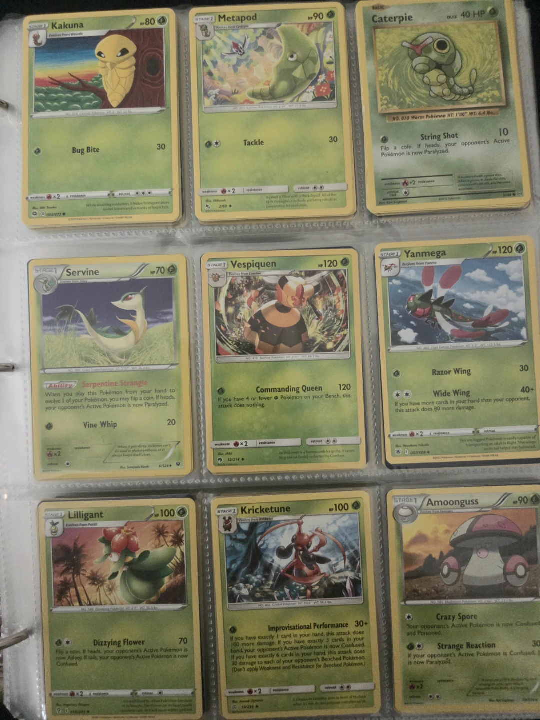 Pokemon Cards - Grass Type - photo 5