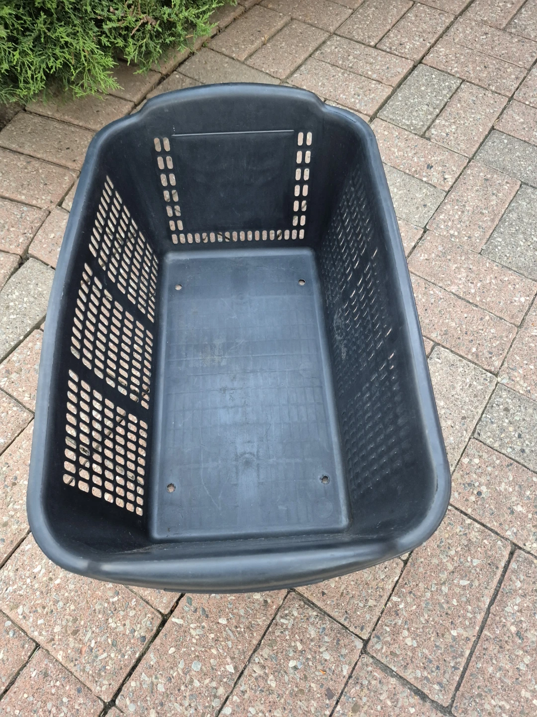 Black Plastic Bin - Kinnor Hill Farms