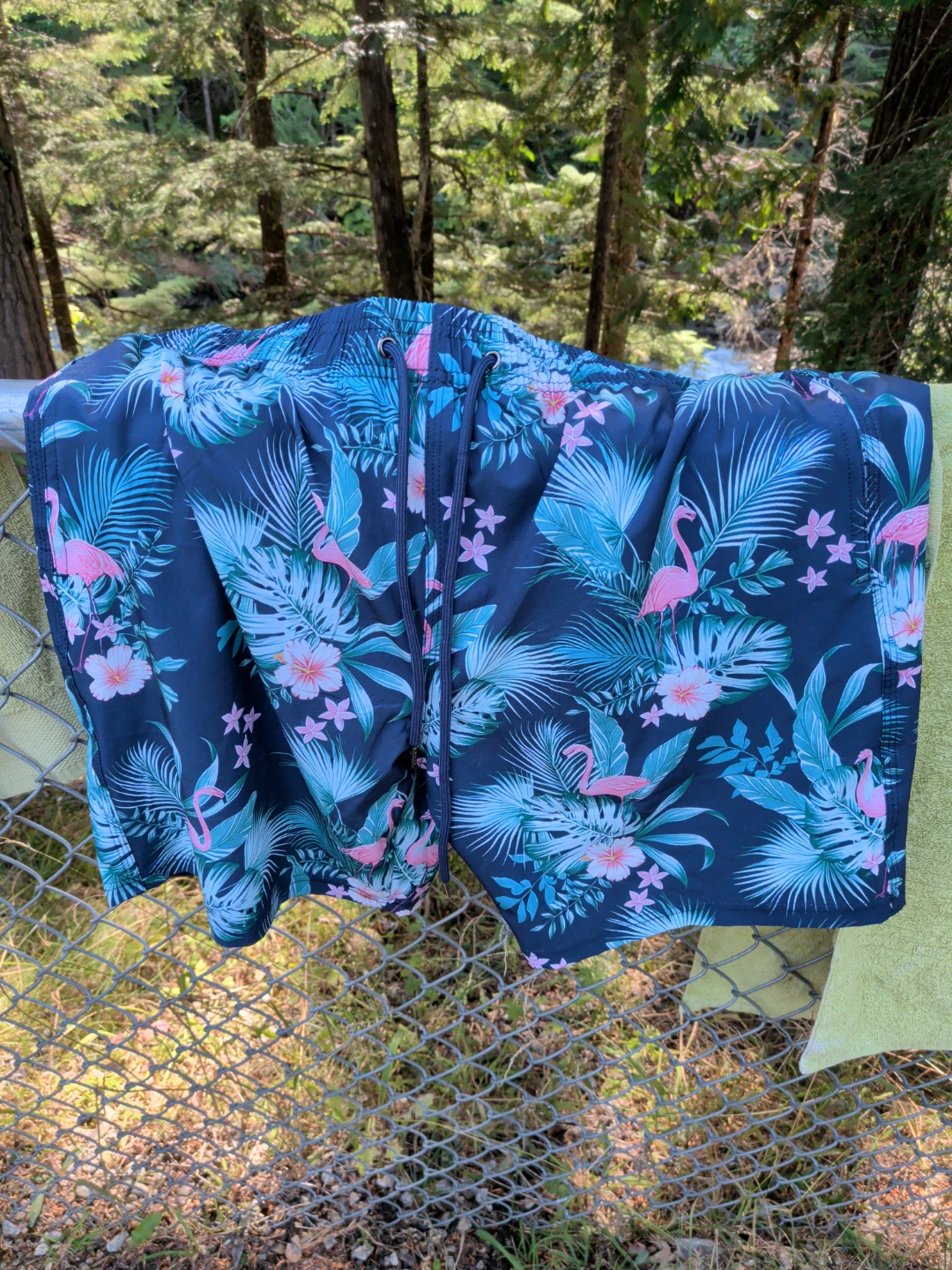 Flamingo Swim Trunks