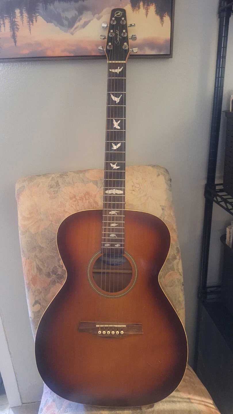Acoustic Electric Bundle