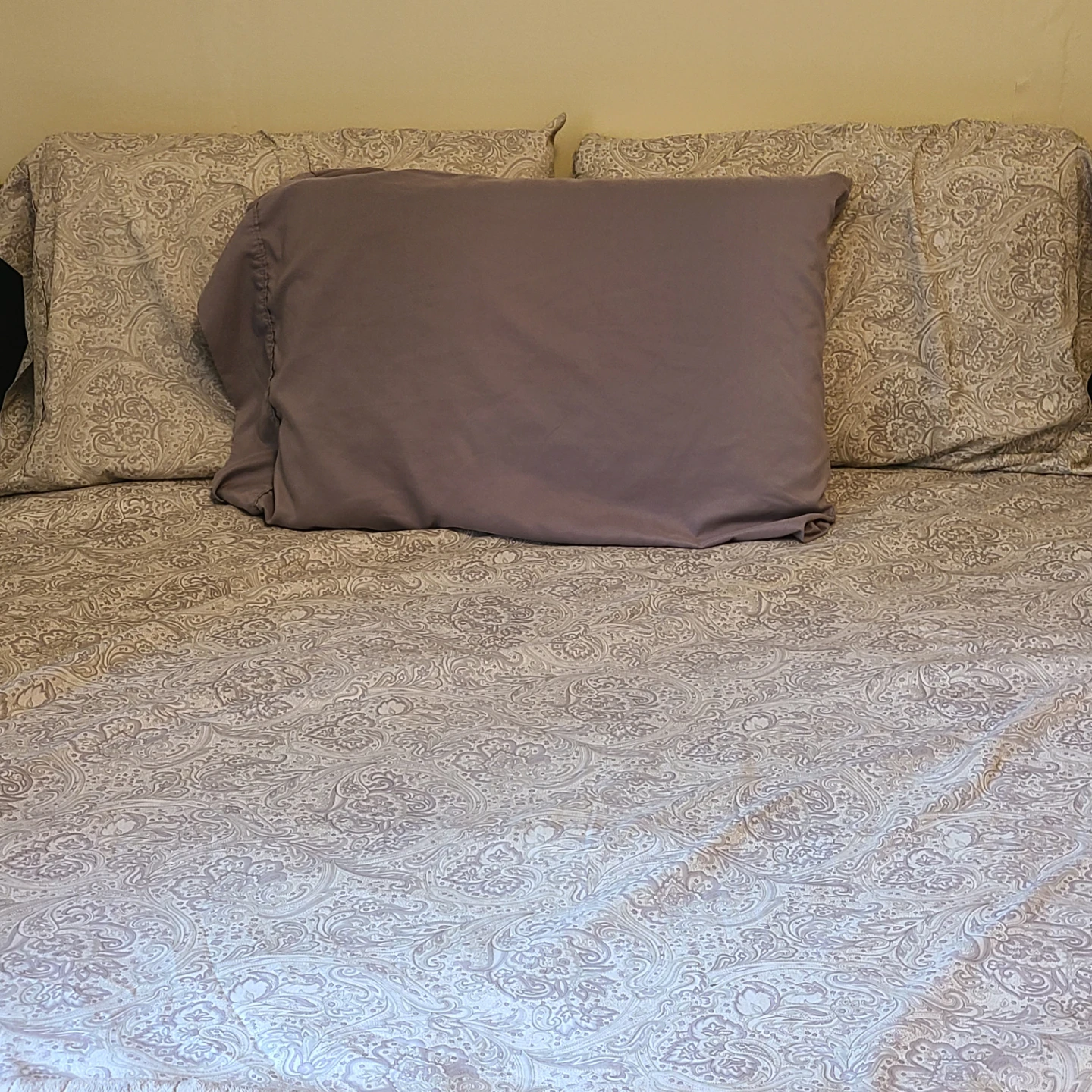 Queen Bed Frame & Mattress