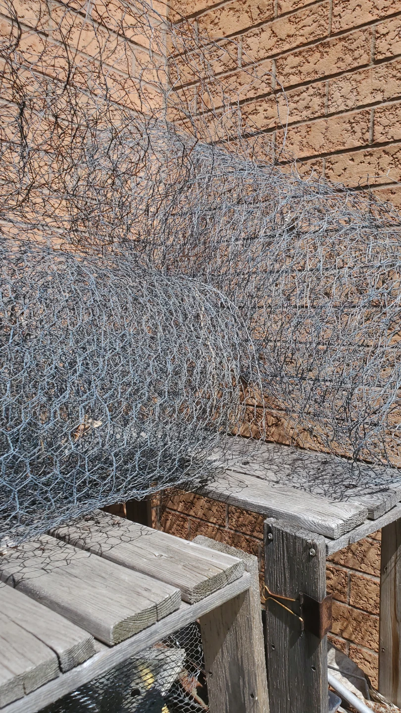 Wire Mesh Cylinder - photo 4