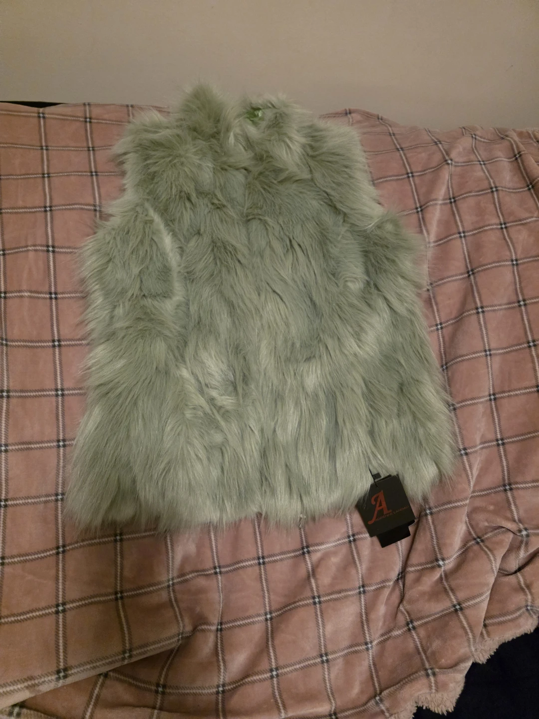 Mint Green Faux Fur Vest - photo 2