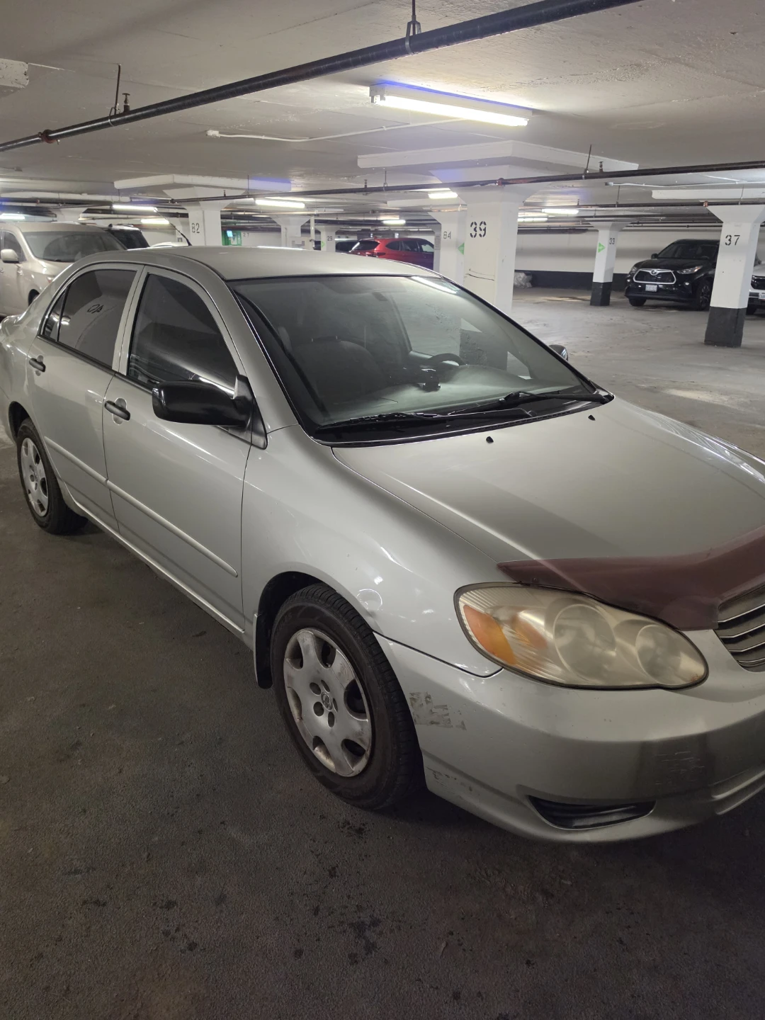 Toyota Corolla CE - photo 3