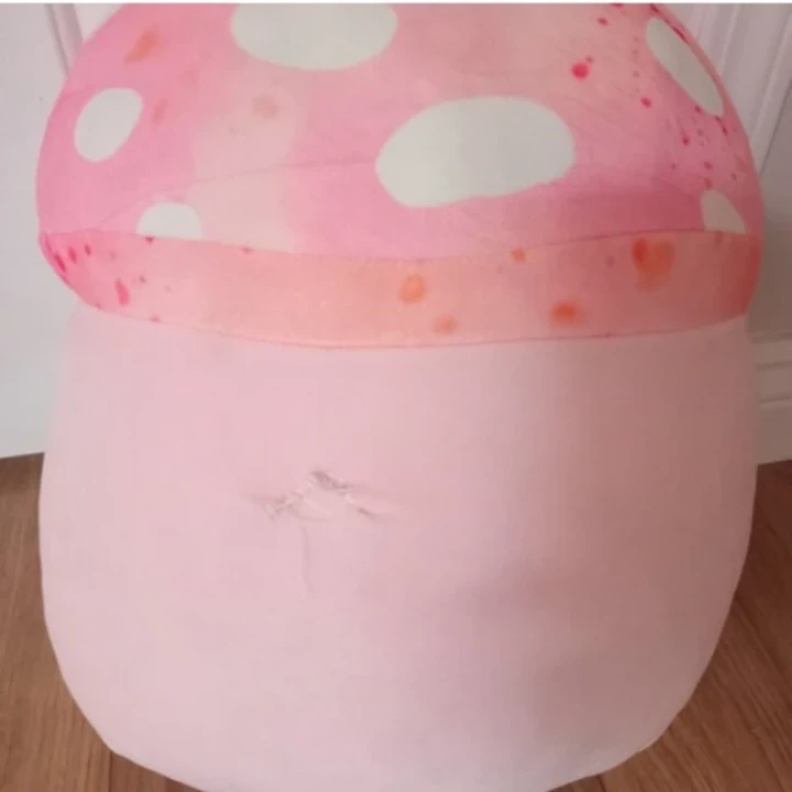 Pink Mushroom Squishmallow Molly - photo 3