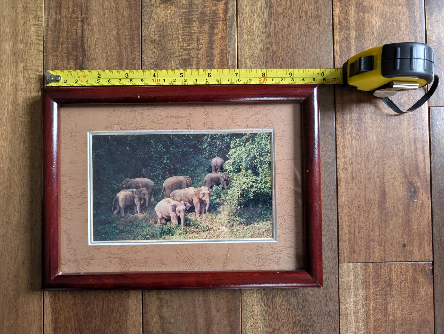 Small Framed Elephant Photo 4x6.5 Image, 7x10 Frame