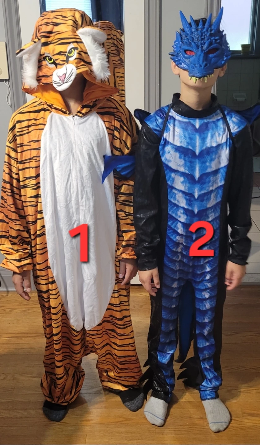 Halloween costumes kids and Adults