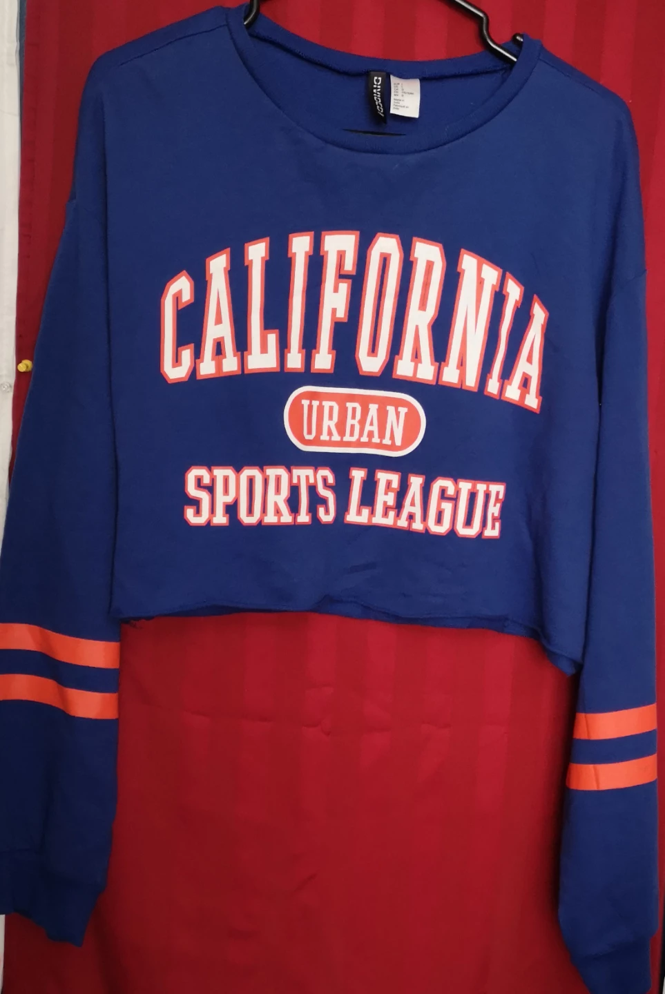 H&M Divided Blue California Cropped Long Sleeve Top