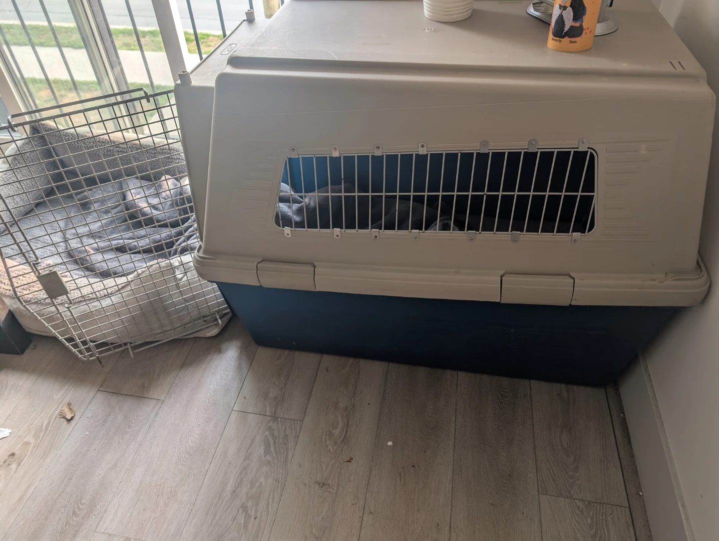 Pet Carrier GIANT 550