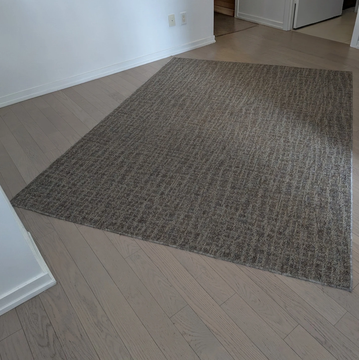 Area Rug - photo 2