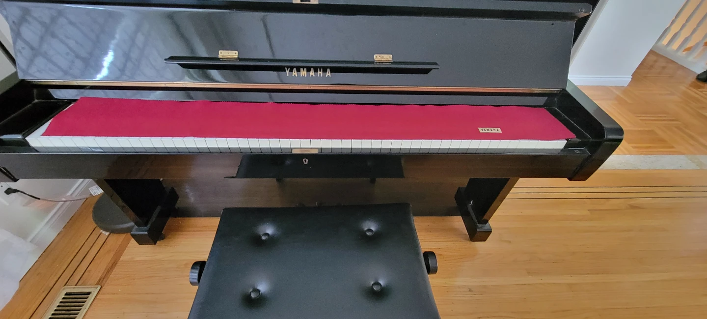 Piano - photo 3