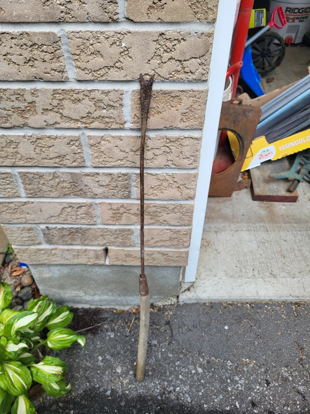 Garden Lawn Weeder Tool