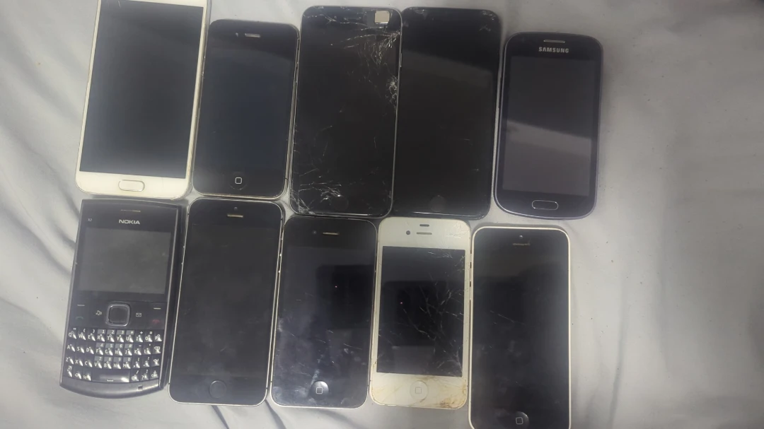 Phone lot check description