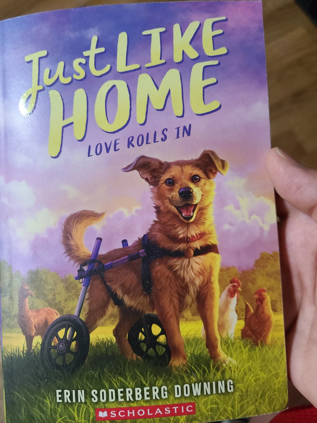 Children's book