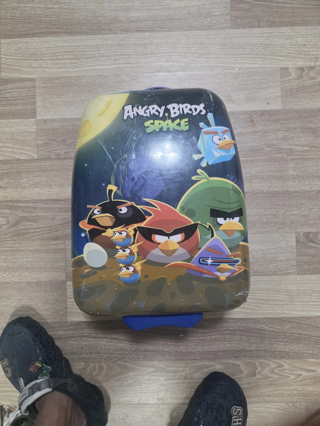 Angry Birds Space Luggage