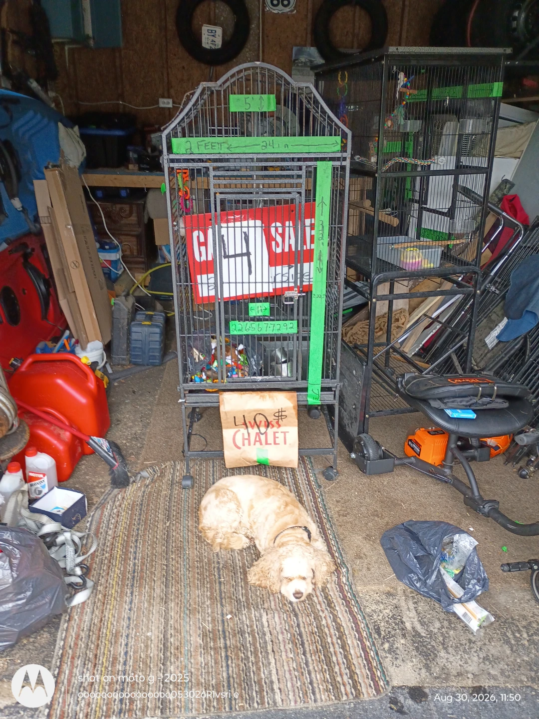 Large Bird Cage