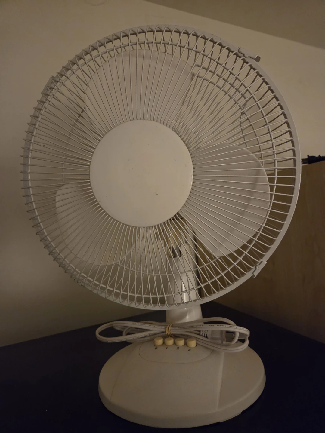 White oscillating fan