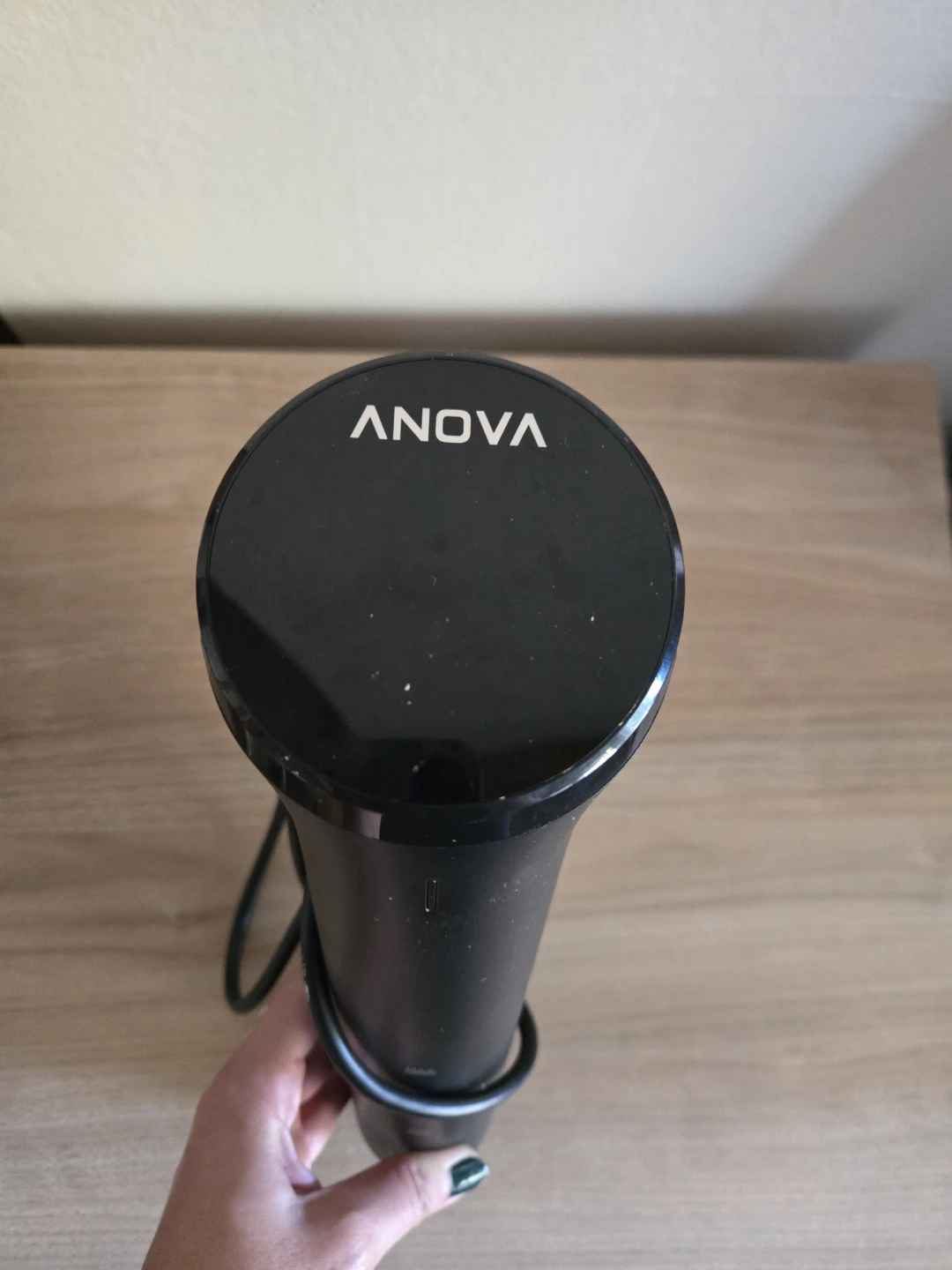 Anova Sous Vide Precision Cooker Nano