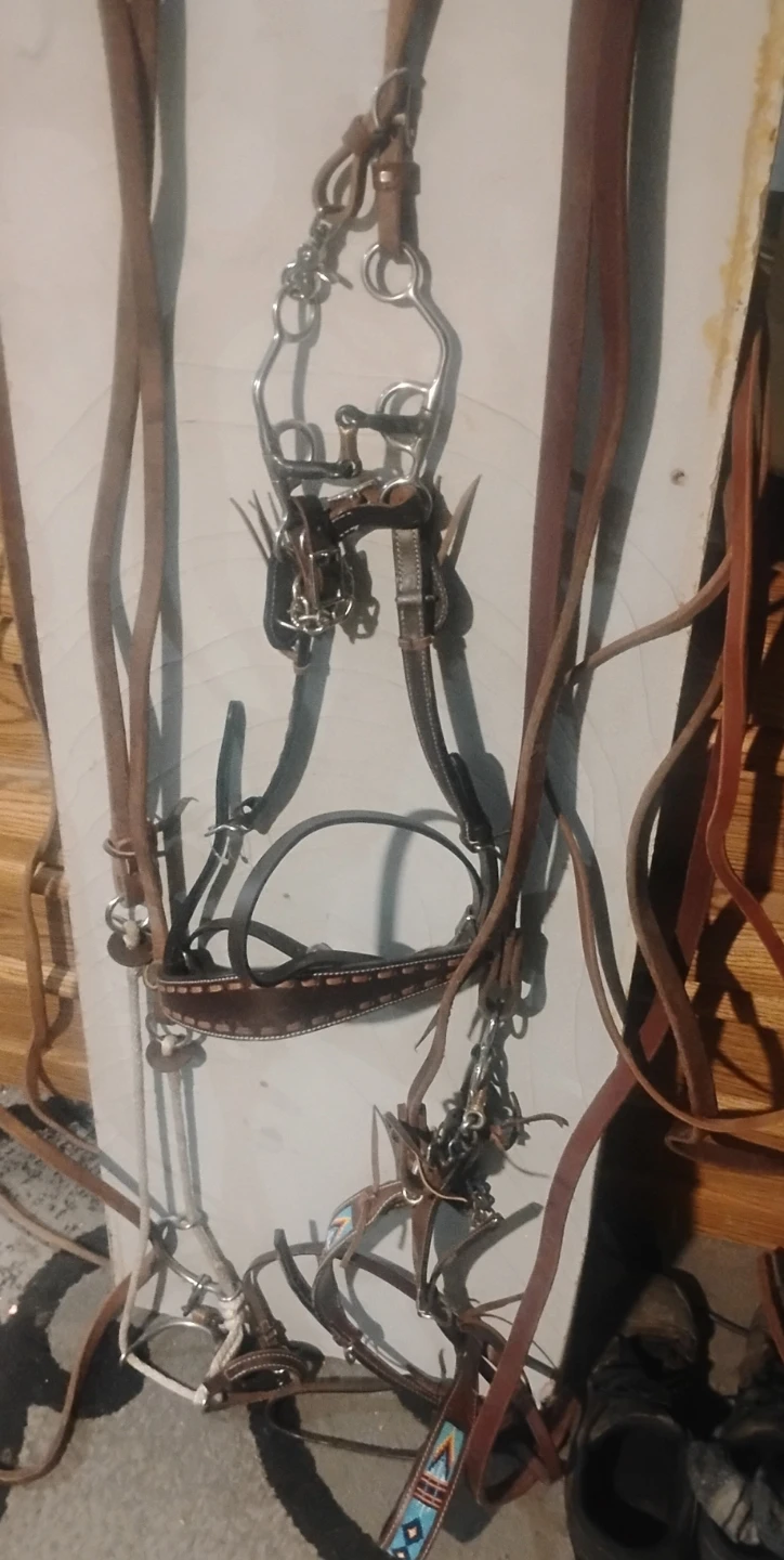 3 Leather Horse Bridle and Bit Set