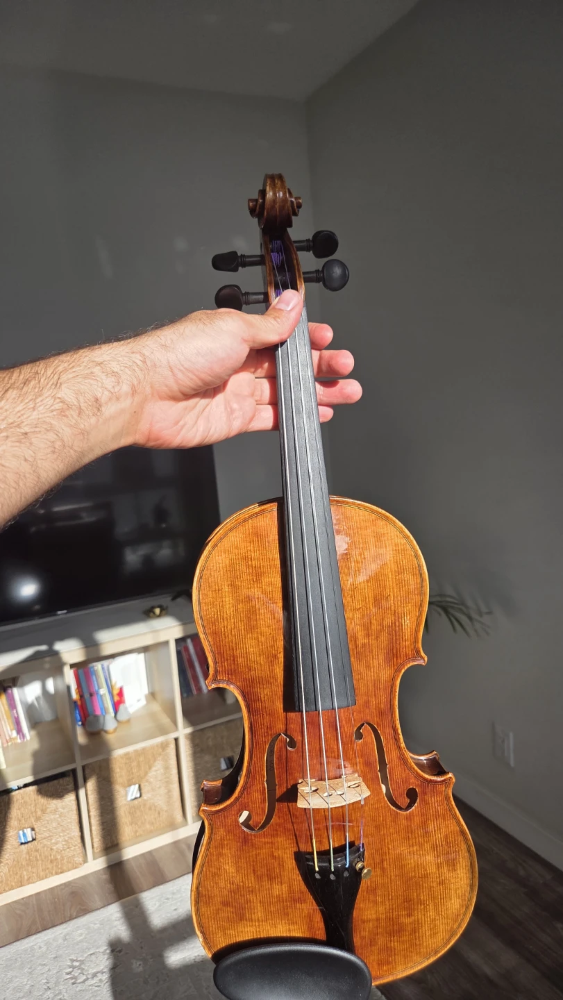 4/4 Revelle 600 violin - photo 2