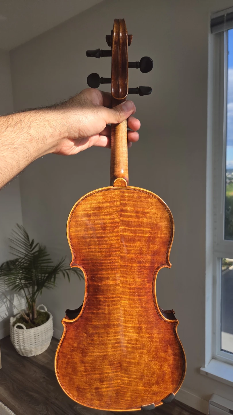 4/4 Revelle 600 violin - photo 3