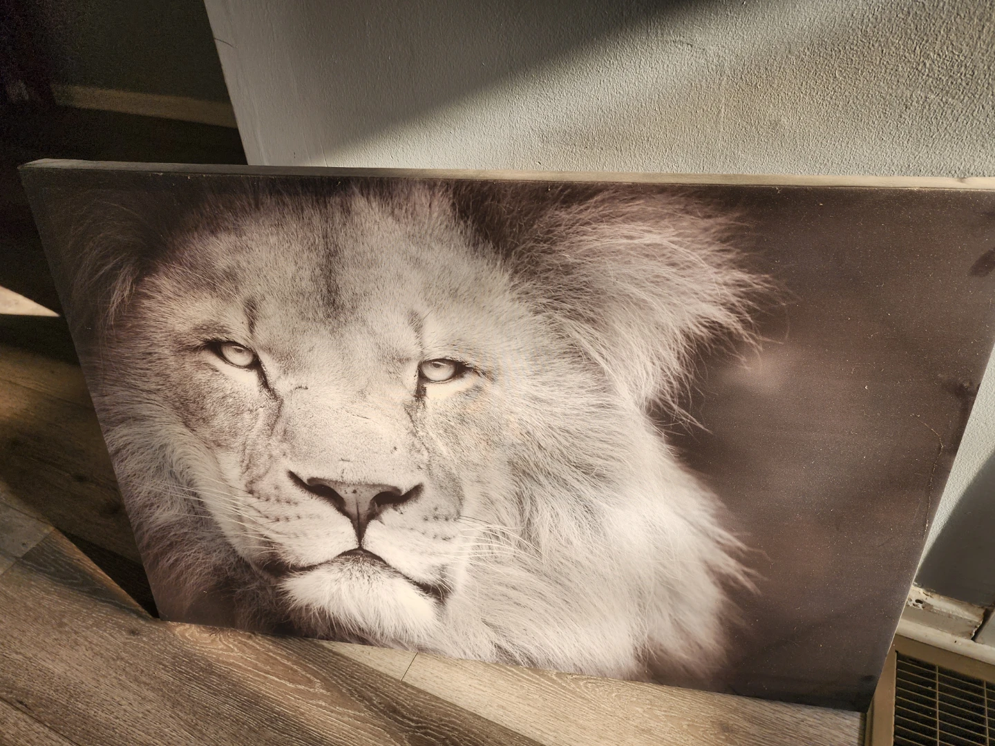 Lion Canvas Wall Art Print