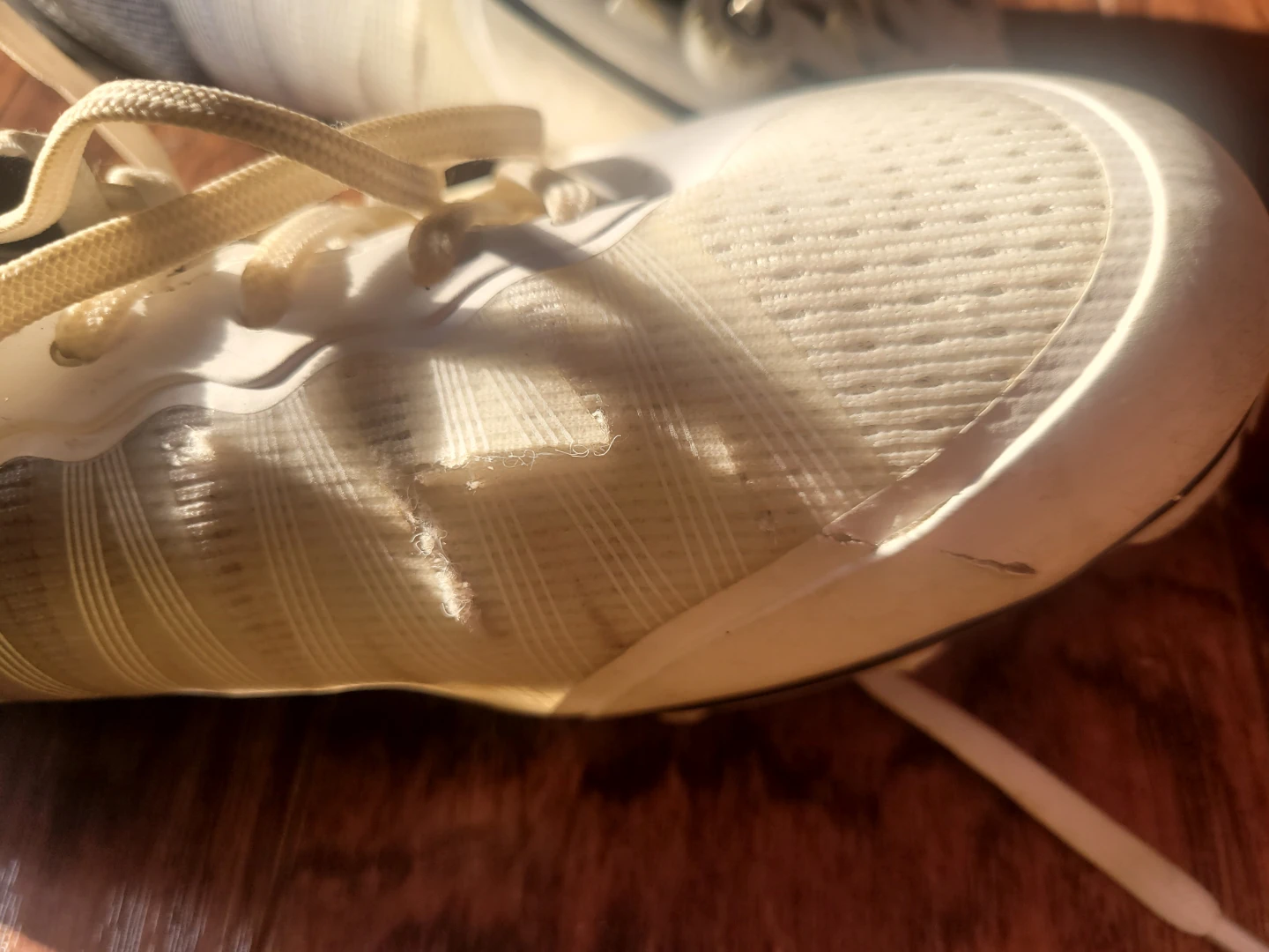 Thestron Track Spikes - photo 5
