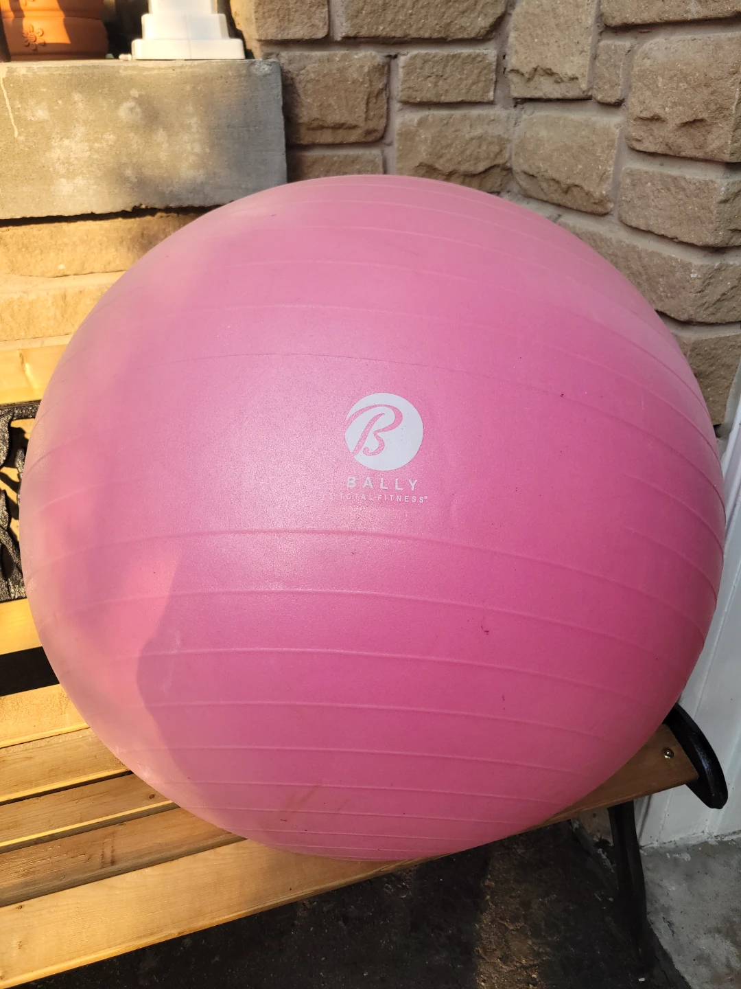 Big Bally Fitness Exercise Ball