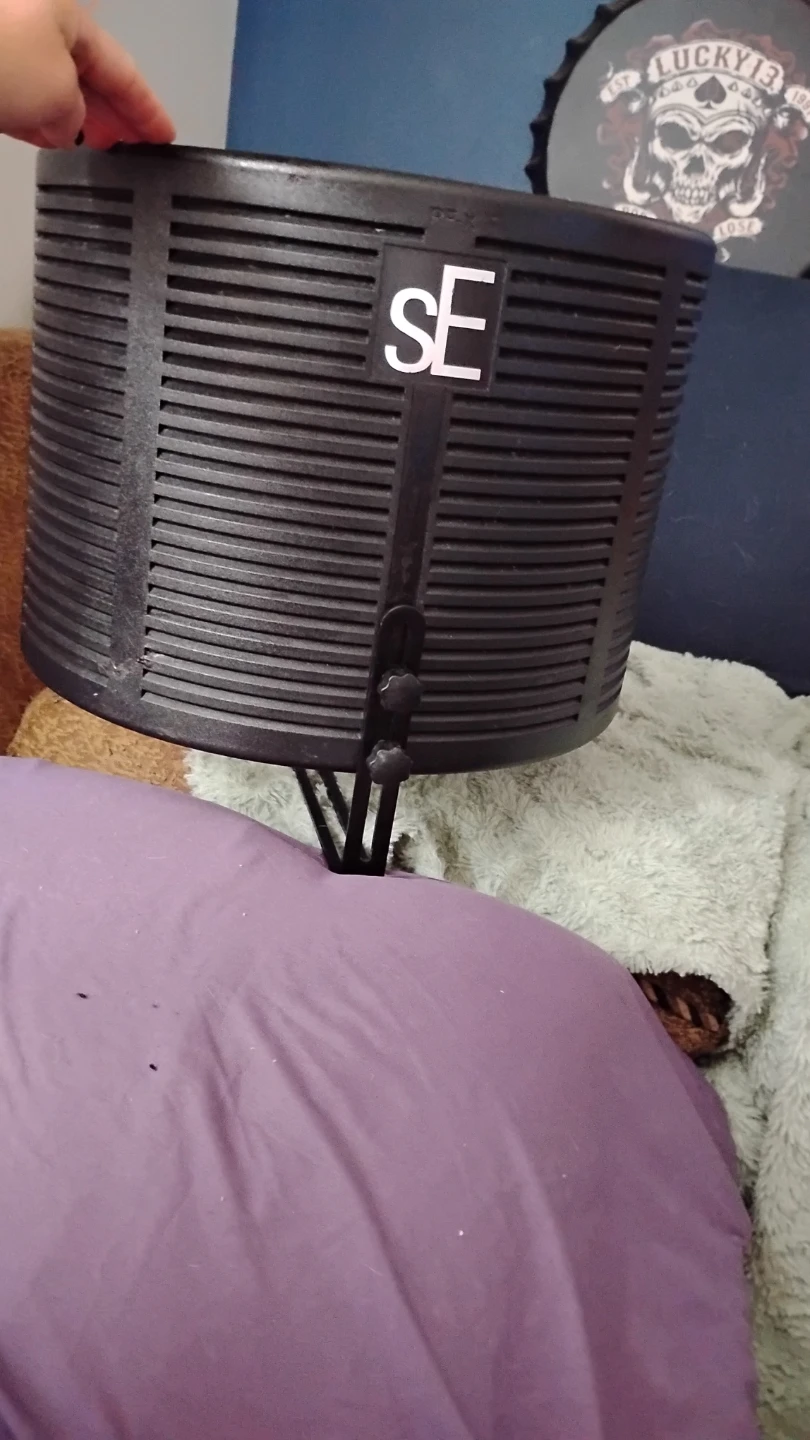sE Electronics RF-X Reflexion Filter - photo 3