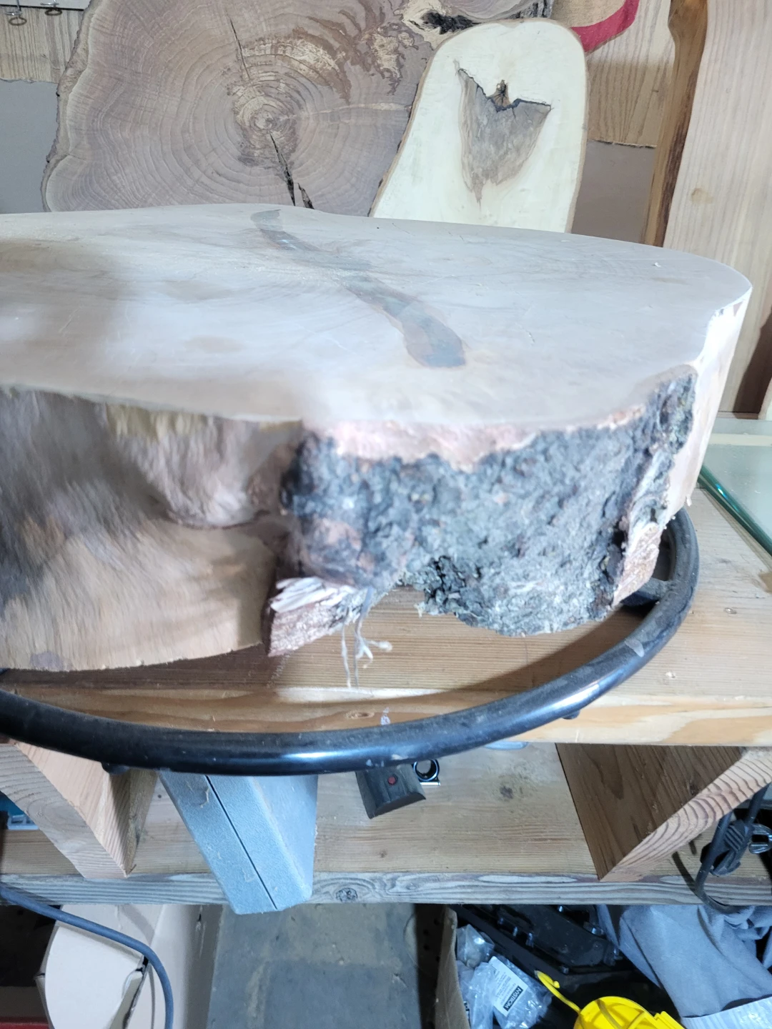 Live Edge Wood Slices for your projects - photo 4