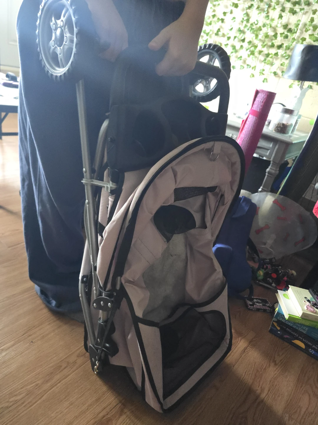 Pet Stroller - photo 5