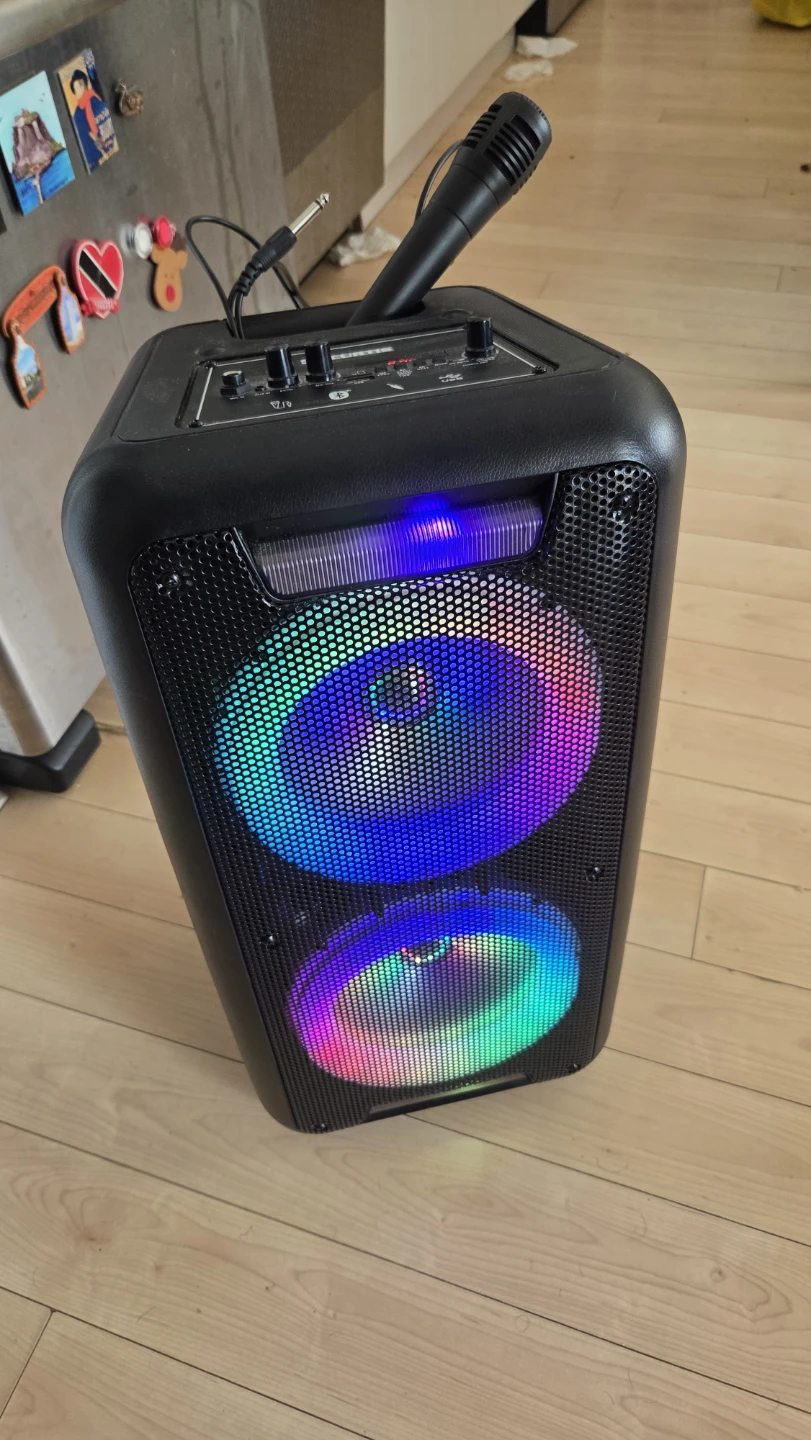 Big Bluetooth Speaker