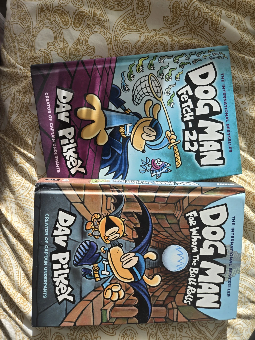 Dog Man Books - Fetch-22 and For Whom The Ball Rolls